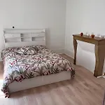 Tulipe21